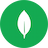 MongoDB
