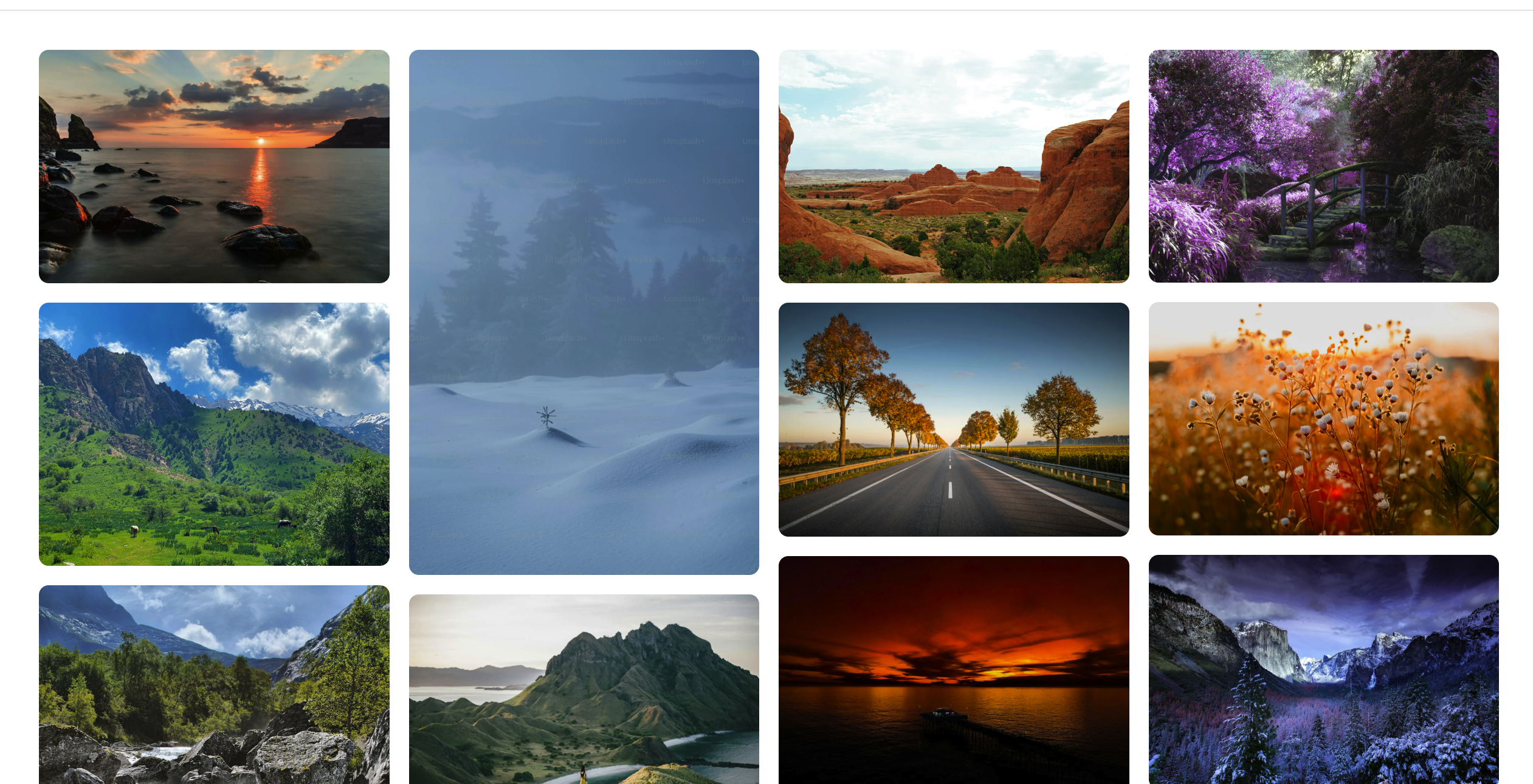 Photo Feed